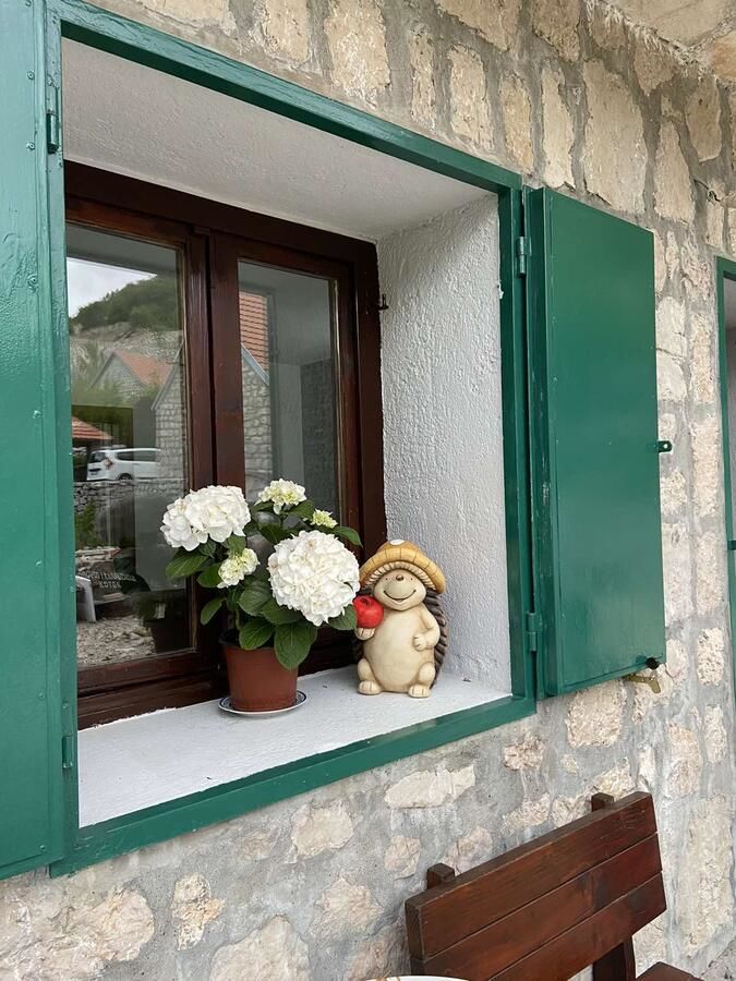 Дома для отпуска Guest House Markovic Lovcen Цетине-18