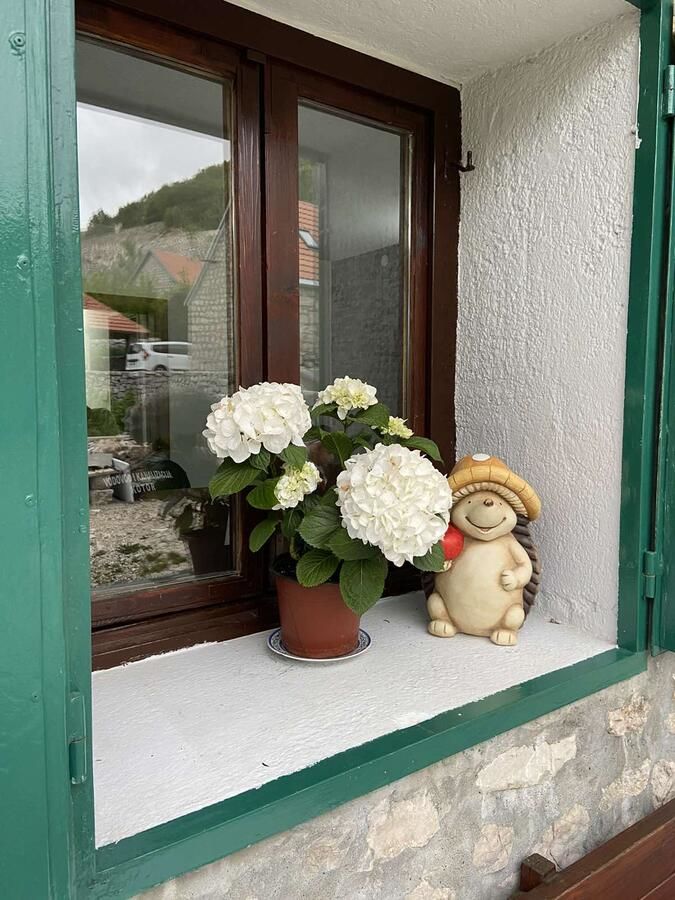 Дома для отпуска Guest House Markovic Lovcen Цетине-19