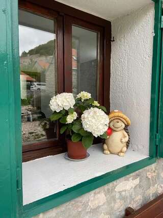 Дома для отпуска Guest House Markovic Lovcen Цетине Дом с 3 спальнями-24