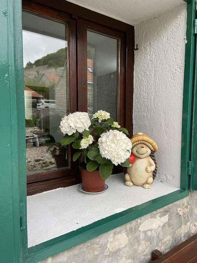Дома для отпуска Guest House Markovic Lovcen Цетине-18