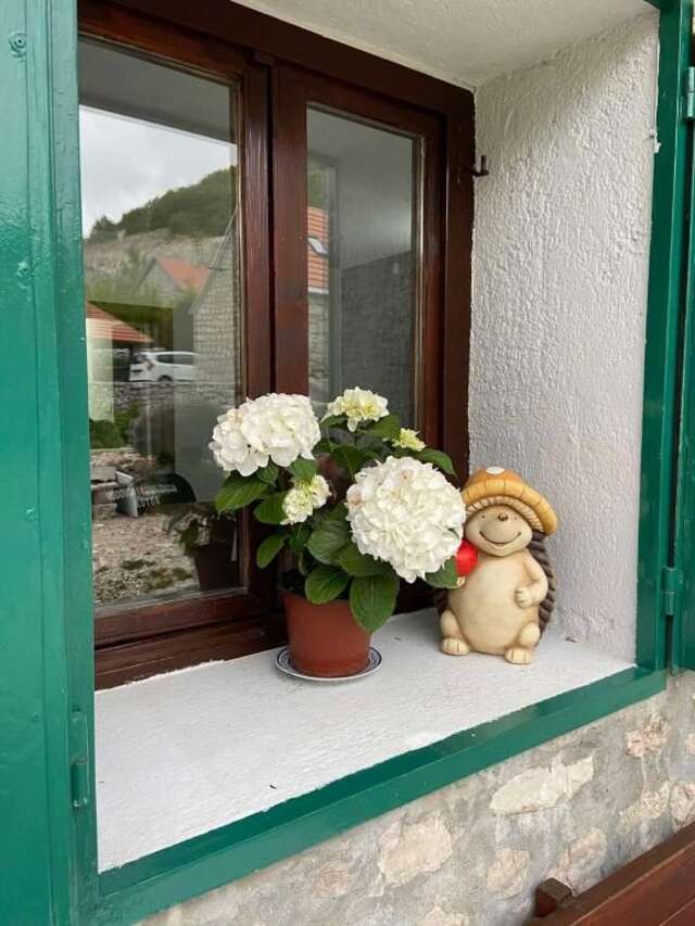 Дома для отпуска Guest House Markovic Lovcen Цетине-26